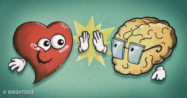 iconografia che rappresenta cuore e mente in sinergia tra di loro