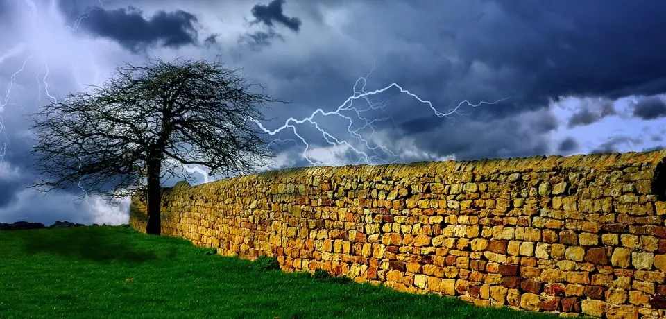 tree 164024 1280 960x460 1